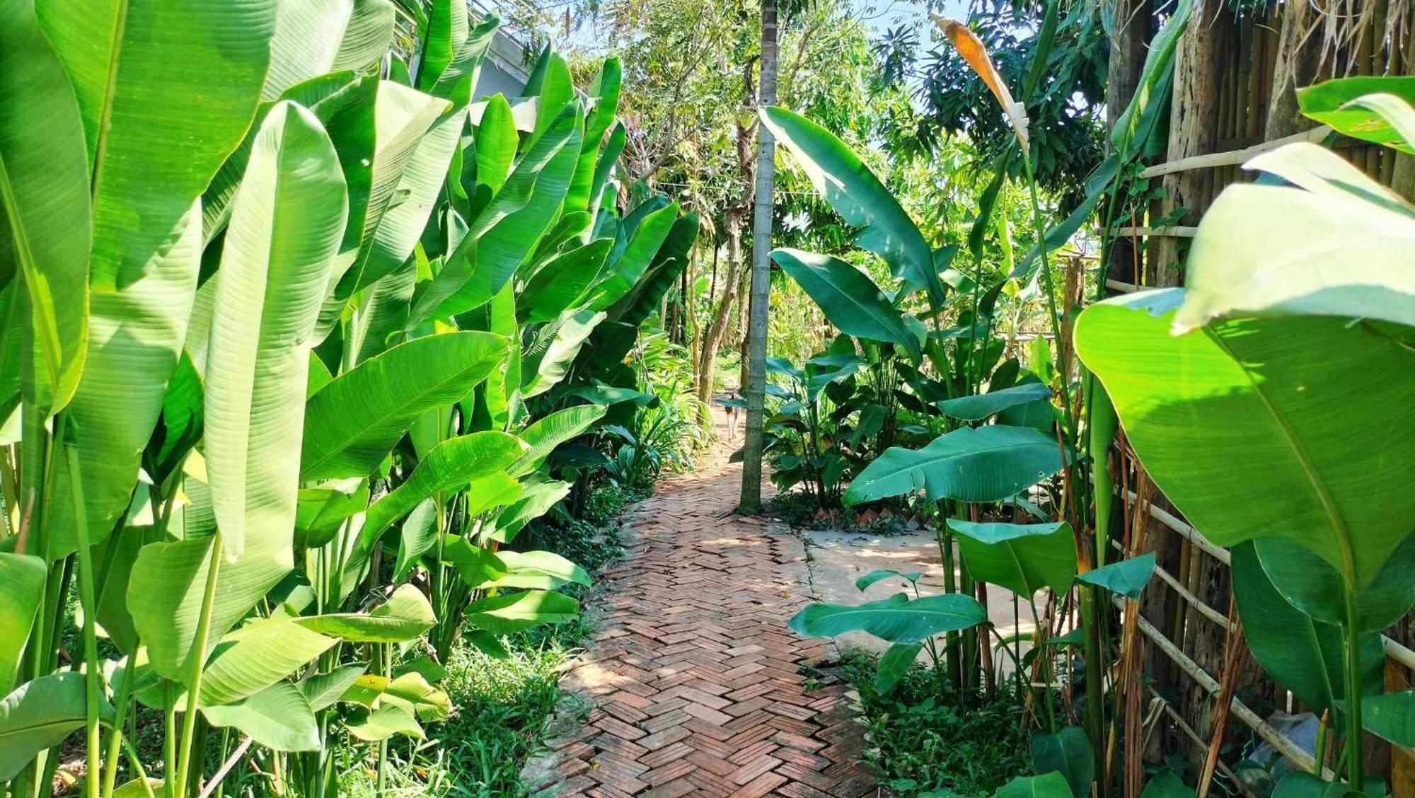 Urban Farmhouse سيام ريب المظهر الخارجي الصورة