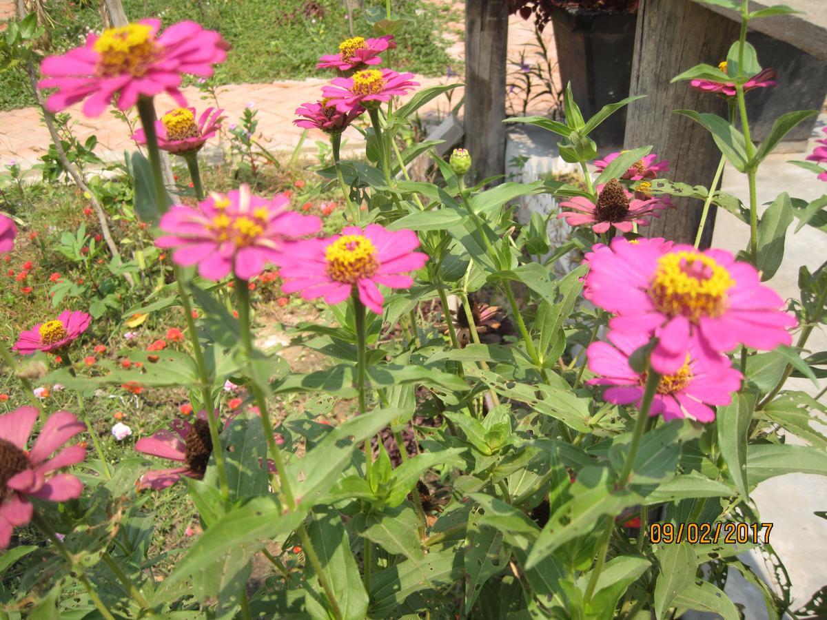 Urban Farmhouse سيام ريب المظهر الخارجي الصورة